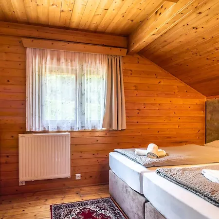 Private Summer House With Swimming Pool, Bar And Pit For Football And Volleyball Holiday home Hvezdonice